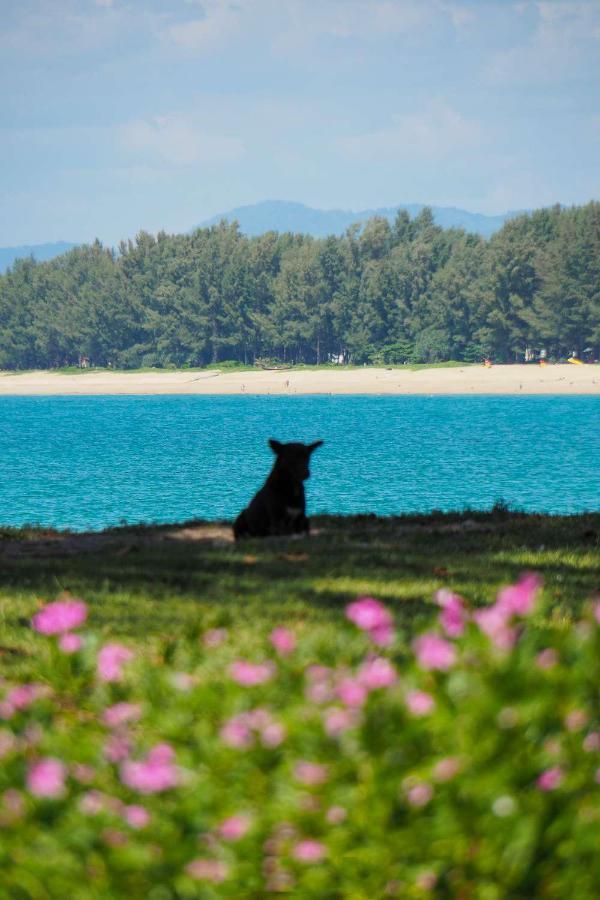 โรงแรมไอดีโอภูเก็ต  Nai Yang ภายนอก รูปภาพ